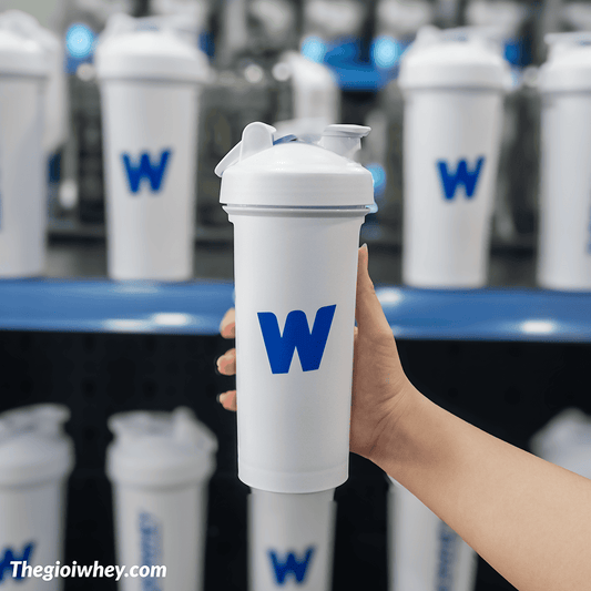 Shaker THEGIOIWHEY 700ml