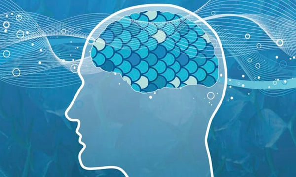 Blue Mind: Tại Sao Bơi Lội Mùa Hè Không Chỉ Là Giải Nhiệt — Và Cách Chuỗi Với Gym Để Tối Ưu Cơ Thể