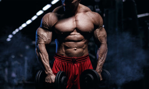 Cutting Mùa Hè: Ăn Bao Nhiêu Protein Để Không Mất Cơ?