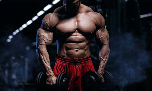 Cutting Mùa Hè: Ăn Bao Nhiêu Protein Để Không Mất Cơ?