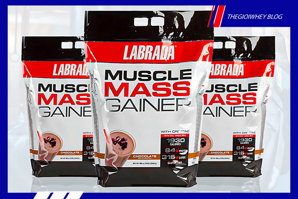 Đánh Giá Muscle Mass Gainer Có Tốt Không? Mua Ở Đâu Chính Hãng?