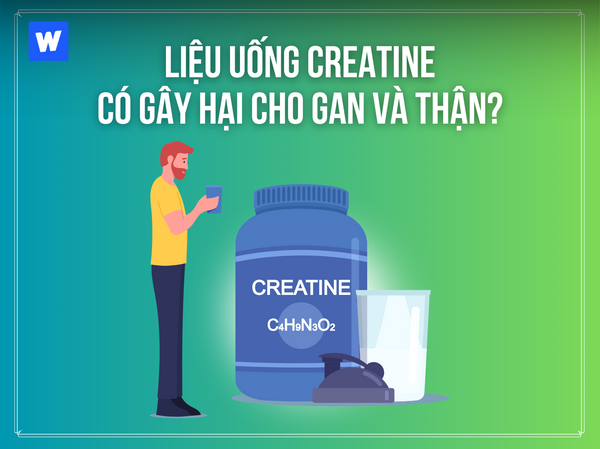 Liệu Uống Creatine Có Gây Hại Cho Thận Và Gan?