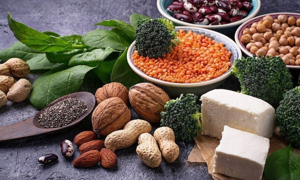 Protein Thực Vật Có Tăng Cơ Được Không? So Sánh Pea Protein, Soy Protein Và Whey