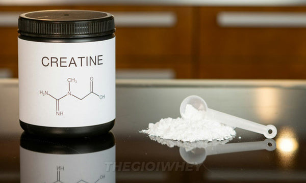 Creatine Và Não Bộ: Không Chỉ Để Tăng Cơ — Khoa Học Nói Gì?