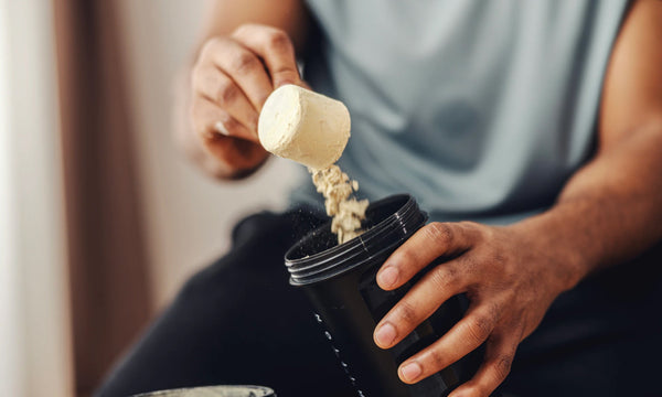 Uống Protein Mà Không Tập Gym Có Tăng Cơ Không? Nghiên Cứu Stanford 2026 Trả Lời Thẳng